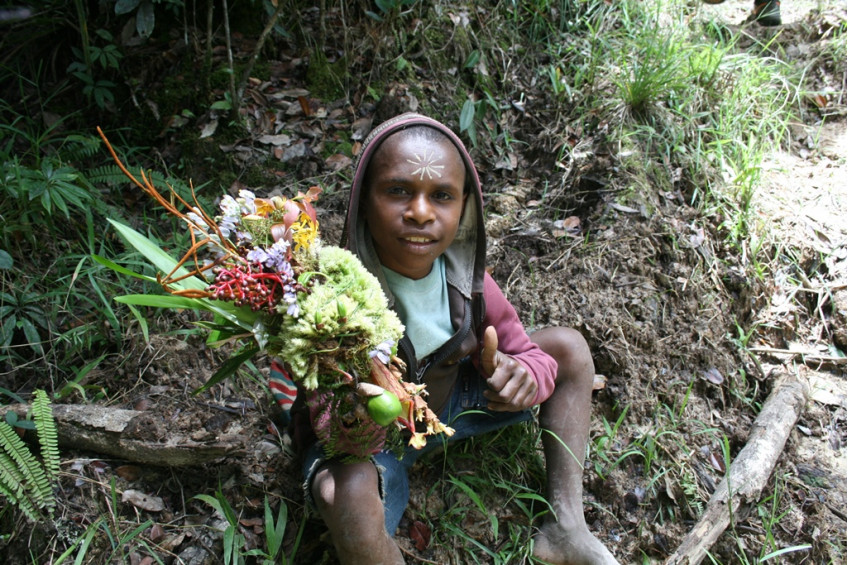 Папуасская флористика