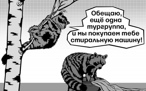 Джунгли позвали: Интервью Тайного меридиана газете Ведомости в № 3935 от 09.10.2015