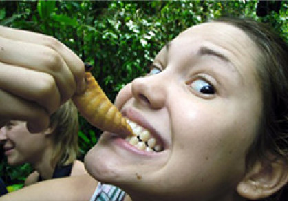 Пообедать личинками в Амазонии?