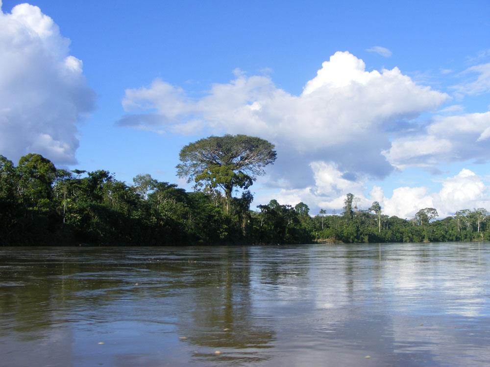  экспедиция на Амазонку