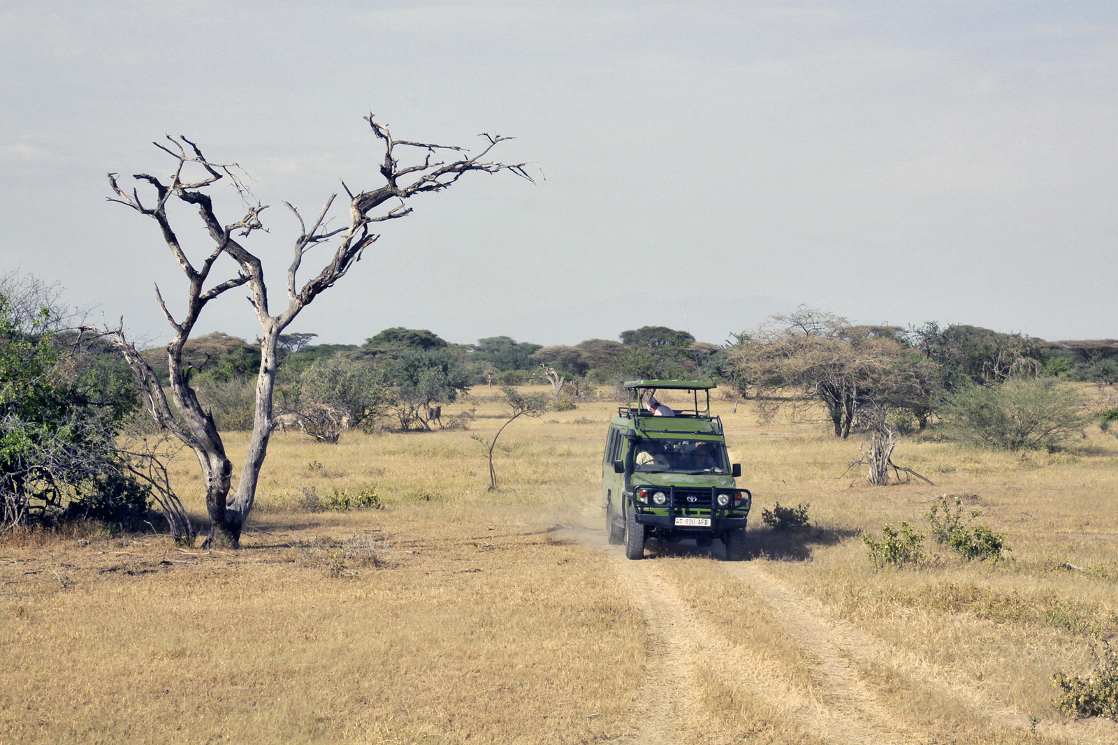 Экспедиция в Африку, тур в Танзанию и на Занзибар